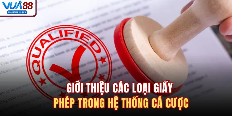 Giới thiệu các loại giấy phép trong hệ thống cá cược
