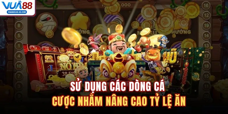Sử dụng các dòng cá cược nhằm nâng cao tỷ lệ ăn 
