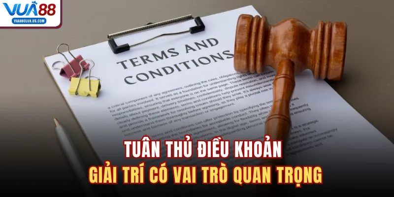 Tuân thủ điều khoản giải trí có vai trò quan trọng